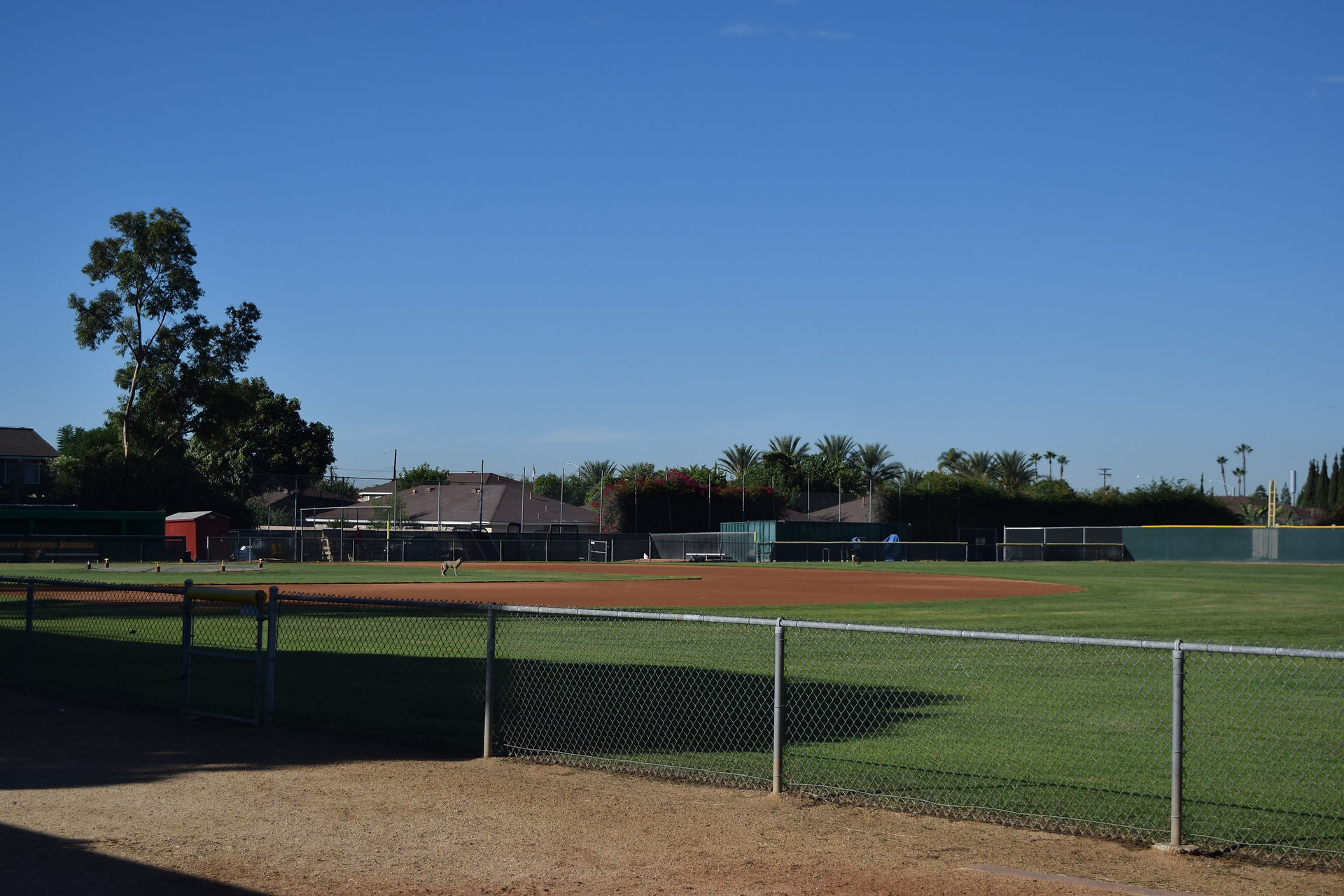 baseball field