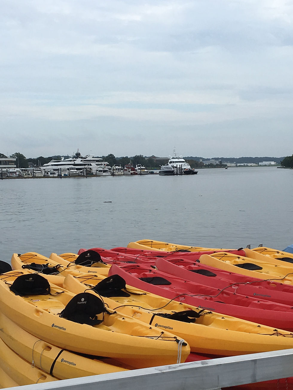 Kayaks