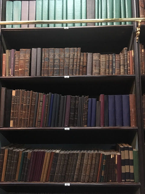 Foto: Adriana Vicente