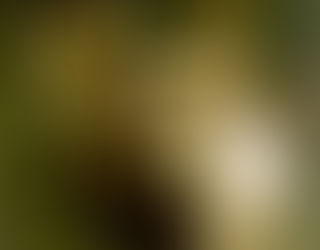 A religiosidade Celta