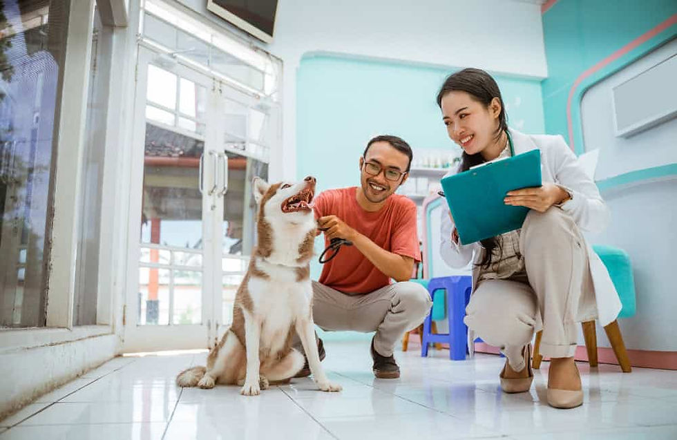 Veterinarian and pet owner smiling while examining a happy husky dog in a bright clinic