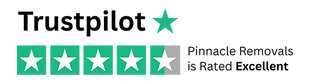 Pinnacle Rated Excellent.png