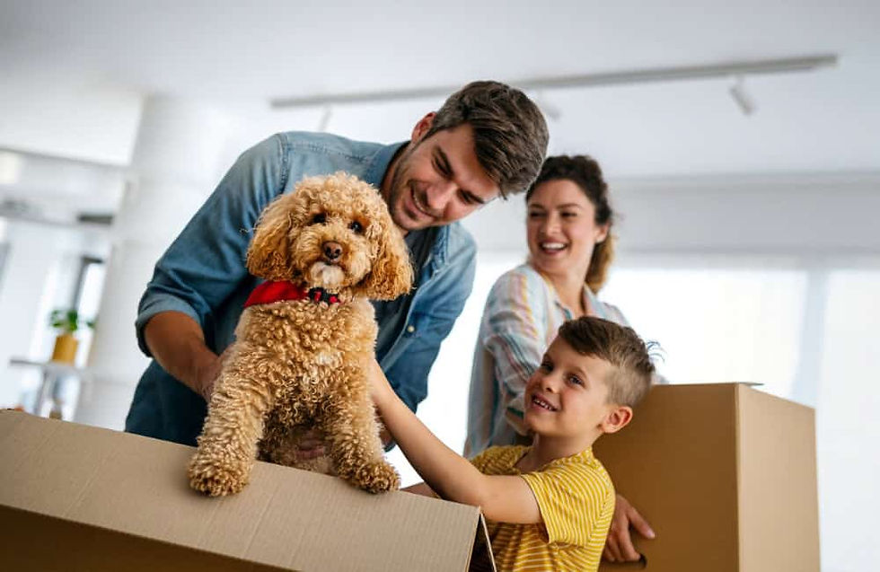 Family unpacking boxes with their dog while moving into a new home in Surrey.
