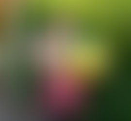 EARTHCHAT - All Things Waste!