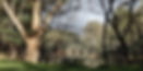 NT03 New Crossing Place Photo wide.JPG