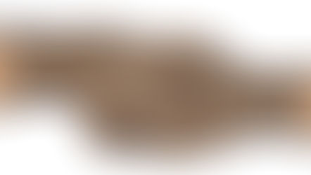 EARTHCHAT: Conversations that Matter in these Times