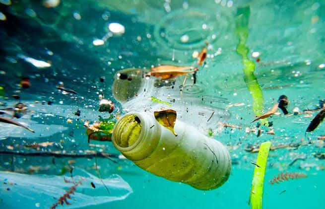 The problem of plastics