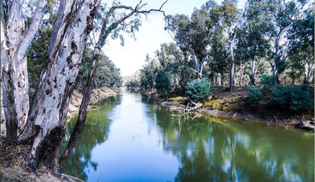 EARTHCHAT: The Mitchell Climate Emergency Action Plan – why it matters