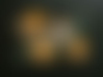 How will the environment remember 2025?