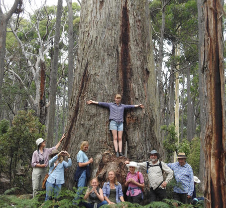 EARTHCHAT: Save Our Strathbogie Forest
