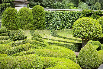 Manicured Garden_edited.jpg
