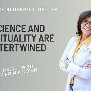 231: DNA: The Blueprint of Life