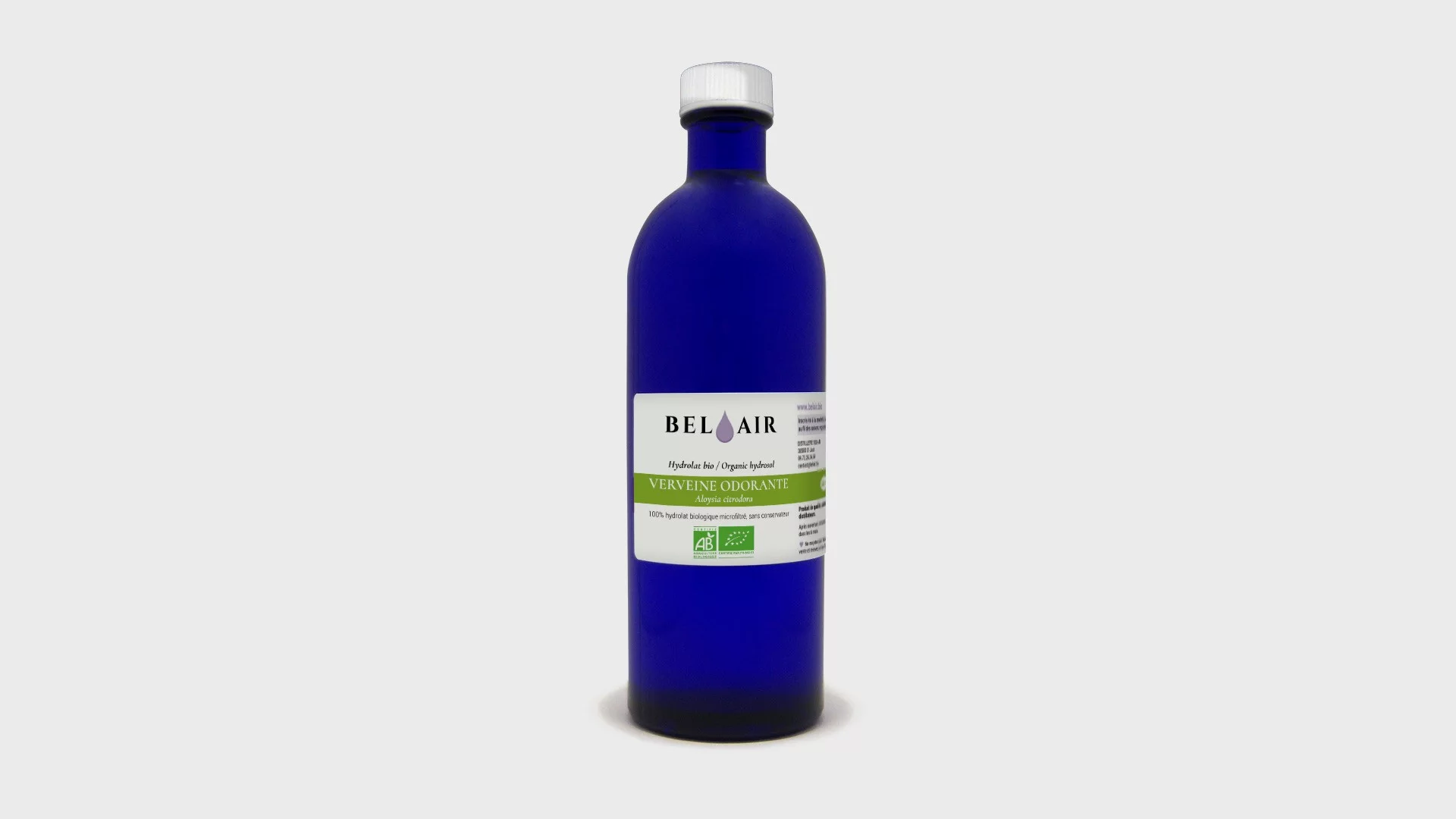 Verveine Odorante
