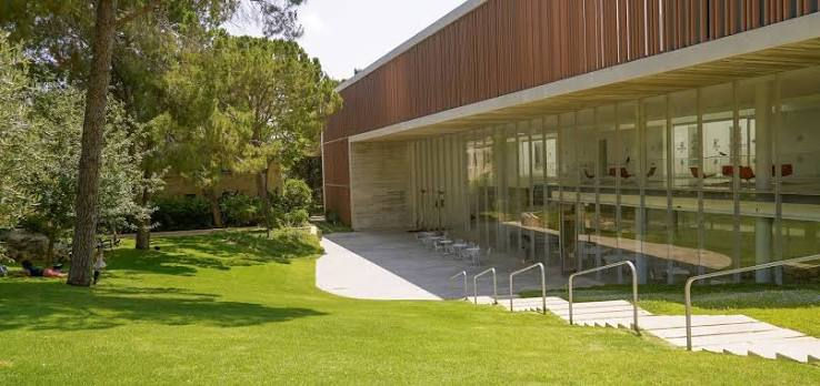 Van Leer Institute