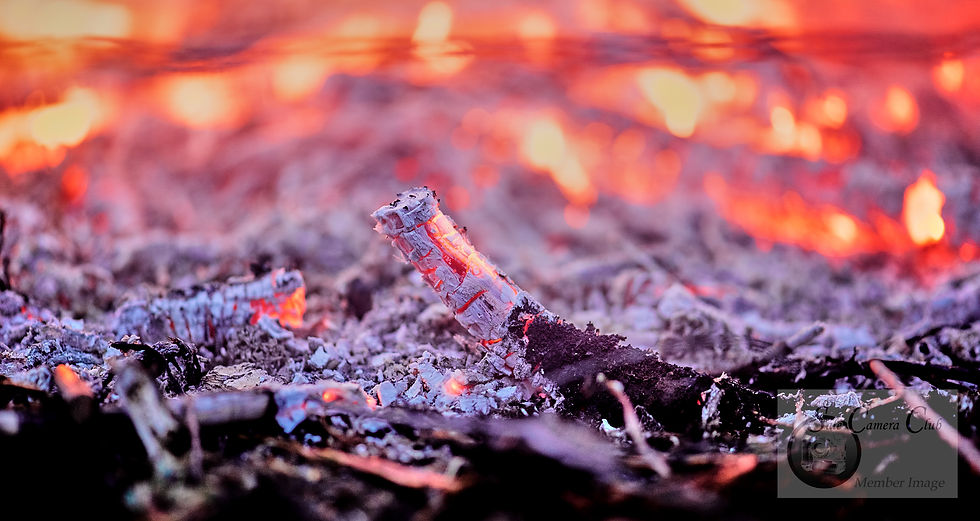 Shallow Depth of Field-Open HC-Ross Stot