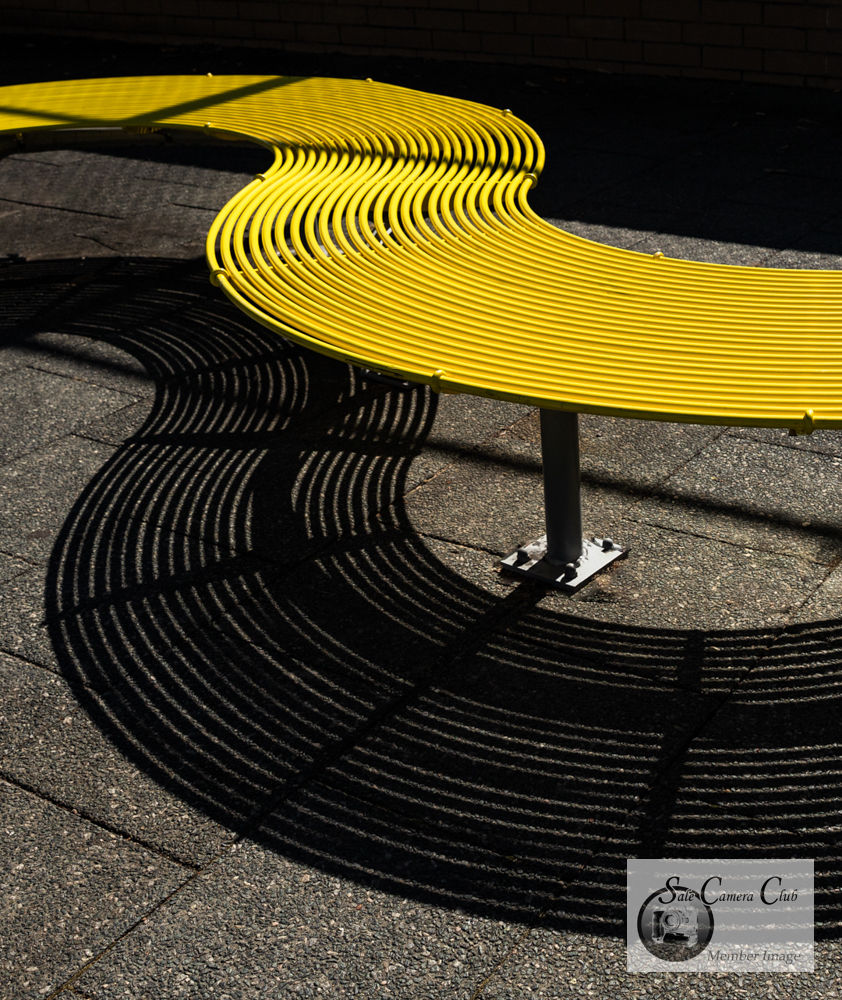 Still Life-Open HC-Adele Bronts- Shadow Tracks