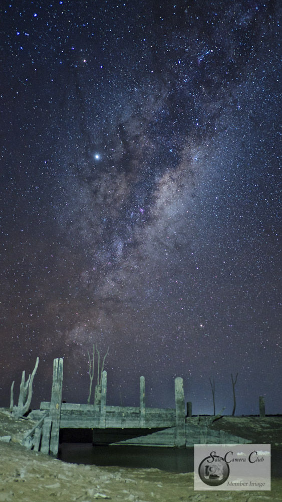 After Dark Night Photography-Open HC-Pet