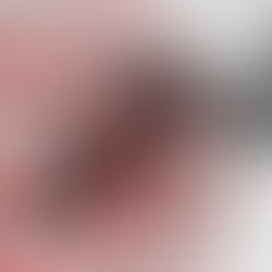 Panik nga tërmeti i momentit, epiqendra me thellësi 14.4 km