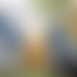 Shkelje në tenderin mbi 2.2 mld lekë të ARRSH, GJKKO pushon akuzat ndaj 6 ish-zyrtarëve pas zvarritjes së procesit