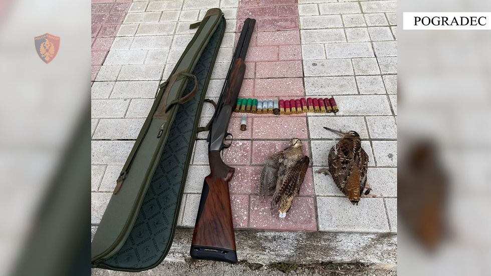 POLICE / 56-year-old arrested for engaging in illegal hunting!