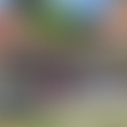 Tensione, përplasje dhe spektakël: derbi juglindor në flakë – Analizë nga Redi Dandallaku