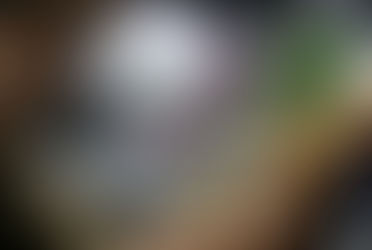 The euro hits a historic low, exchanged at 96.57 lek, but it is expected to weaken further by year-end