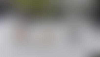 Qeni i lirë tenton të sulmojë fëmijët pranë parkut