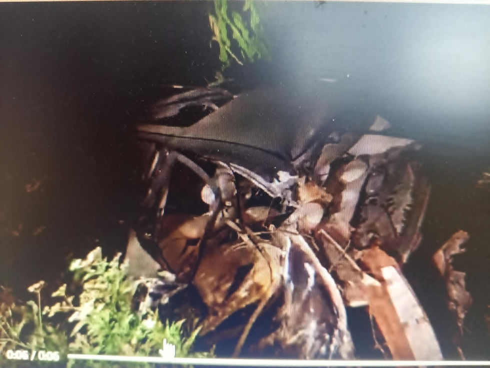 Tragedy on the Korçë-Maliq road, a young man from Korçë loses his life after a strong collision between two vehicles
