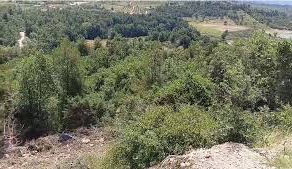 Lajmi i minutës së fundit/ Aksident i frikshëm, mjeti i tonazhit të rëndë del nga rruga