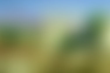 SHËN GJERGJI - shenjti mbrojtës i qytetit të Korçës!