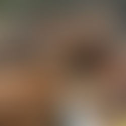 Misri serb kancerogjen/ AKU bllokon 25 tonë ushqim për kafshët që importoheshin nga Beogradi