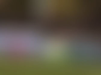 Champions ready to snatch Skënderbeu’s striker