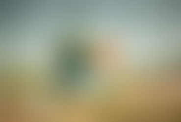 Breshëri mbi shalqinj/ Fushat e Hersonit nën sulmet e dronëve rusë