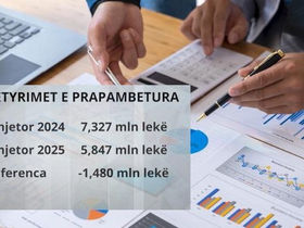 Municipalities and ministries owe 5.8 billion lek! Pogradec Municipality has 220 million lek in debt. Problem linked to layoffs