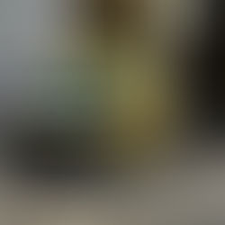 Panik, një person hyn me forcë në zyrën e kryetarit të bashkisë