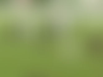 Rezultatet e javës së 14-të në Kategorinë e Parë: fitore për Apoloninë, Burrelin dhe Korabin