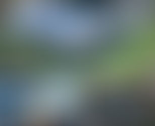 Aksident/ Autobusi nxjerr nga rruga “Audi-n”, makina përfundon në kanal