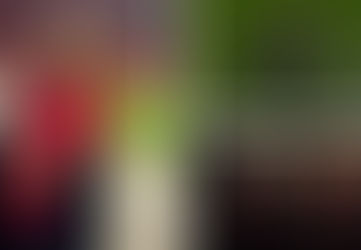 Wearing the National Team jersey, Sylvinho’s daughter and wife share PHOTOS from “Air Albania”