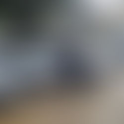 Ndodh në Shkup/ Bekoi makinat e policisë në ambientet e ministrisë, nisin hetimet për priftin