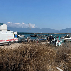 Ngatërroi frenat me gazin, 86-vjeçari i merr jetën 25-vjeçares