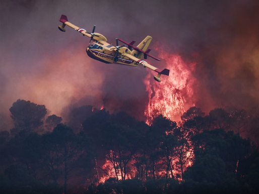 Extreme heat sparks Southern Europe: France seeks EU assistance, Spain declares national emergency