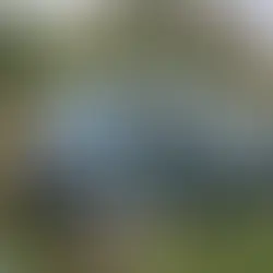 Përplasje mes dy automjeteve, çfarë ndodhi në aksin rrugor?
