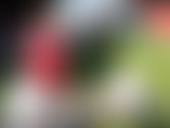 Vazhdon “çmenduria” në futbollin norvegjez – Lojtari i ndeshjes shpërblehet me vezë, miell dhe qumësht