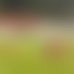 First Division takes a break / Here’s when Matchday 29 returns and the fixtures