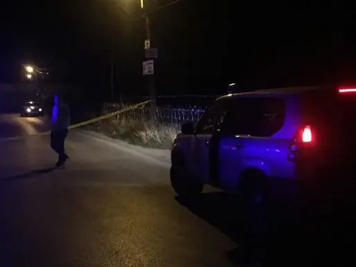 Denoncimi i vajzës çon në zbulimin e krimit: 65-vjeçari gjendet i pajetë, dyshohet për v*rasje me a*rmë