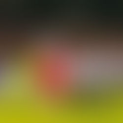 SKËNDERBEU sot për 3 pikë ndaj Kastriotit/ POGRADECI për të marrë më të mirën në Peshkopi!