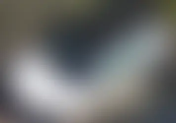 Makina del nga rruga dhe përfundon në kanal, dy të plagosur