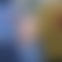 FOTO/ Zbardhet shkresa e SPAK drejtuar Kuvendit, për arrestimin e Belinda Ballukut