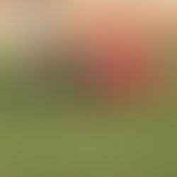 Goditje e papritur, një ekip mbetet pa merkato deri në 2028