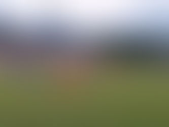 Të veçantat e miqësores Skënderbeu-Kukësi 2-1/ Estrela mbetet në stol, Noha fiton zemrat e tifozëve